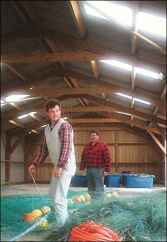 scan34.jpg