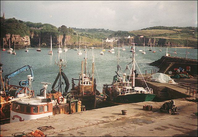 scan27.jpg