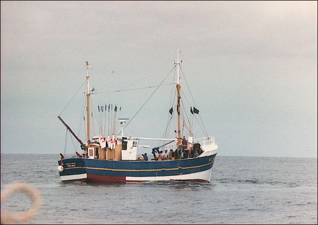 scan65.jpg