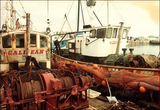 scan239.jpg