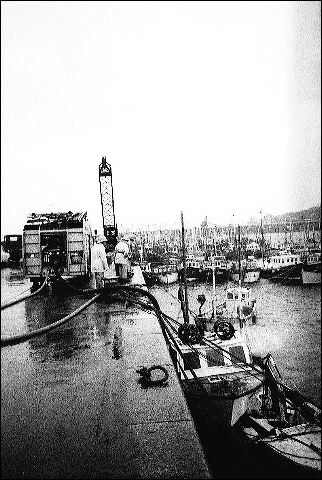 scan827.jpg